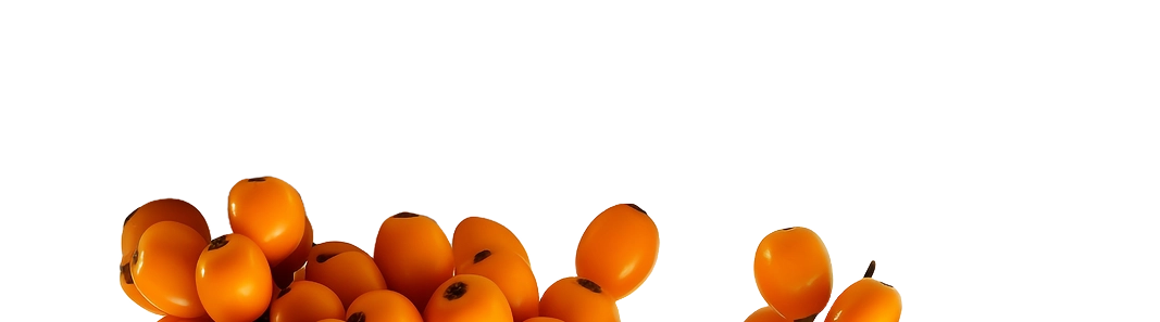 Sea Buckthorn Berries Right