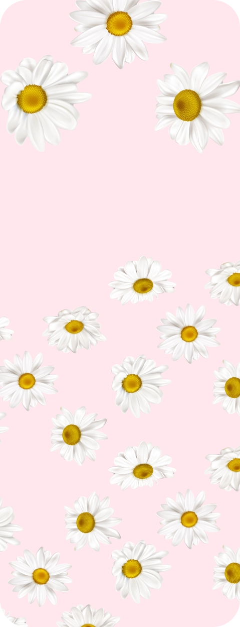 Sweet Camomile Background