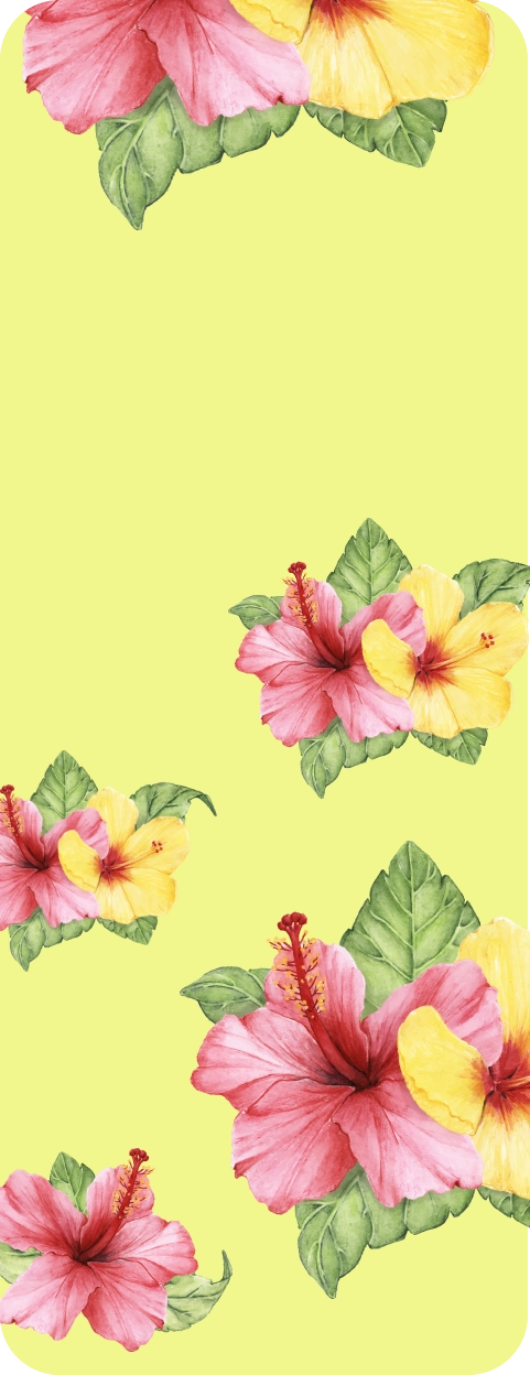 Punchy Hibiscus Background