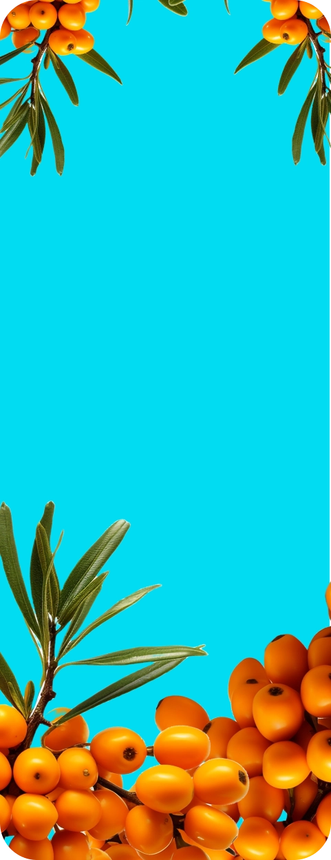 Original Seabuckthorn Background