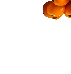 Top Right Berries